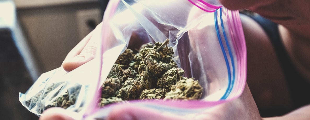 How to Tell if You’re a Stoner How to Tell if You’re a Stoner