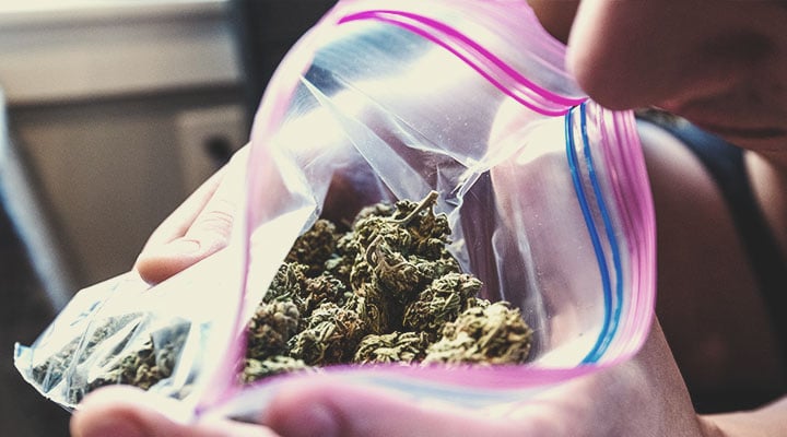 How to Tell if You’re a Stoner How to Tell if You’re a Stoner