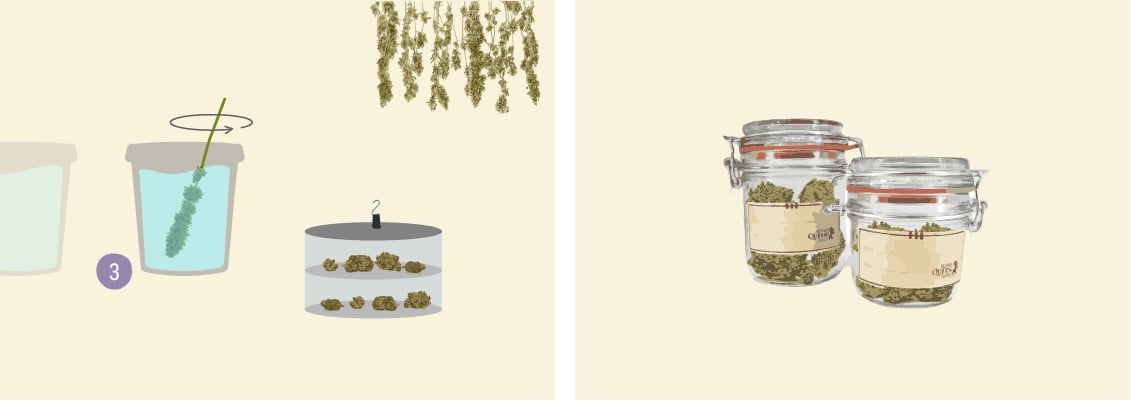 How to Wash Your Buds How to Wash Your Buds