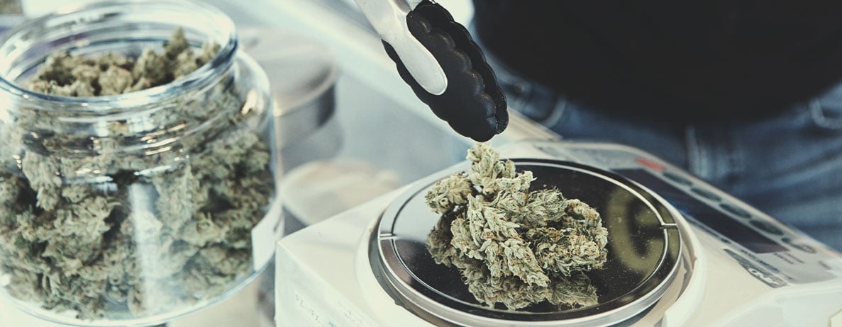 How to Become a Budtender How to Become a Budtender