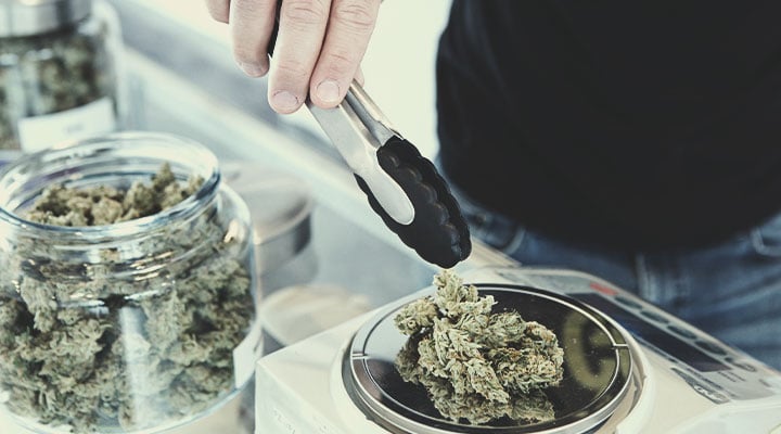 How to Become a Budtender How to Become a Budtender