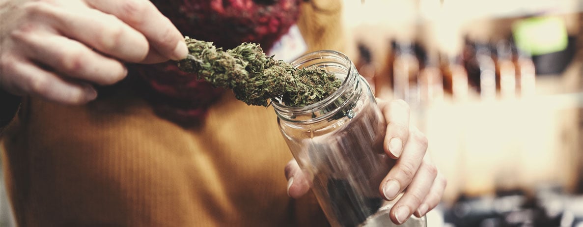 How to Become a Budtender How to Become a Budtender