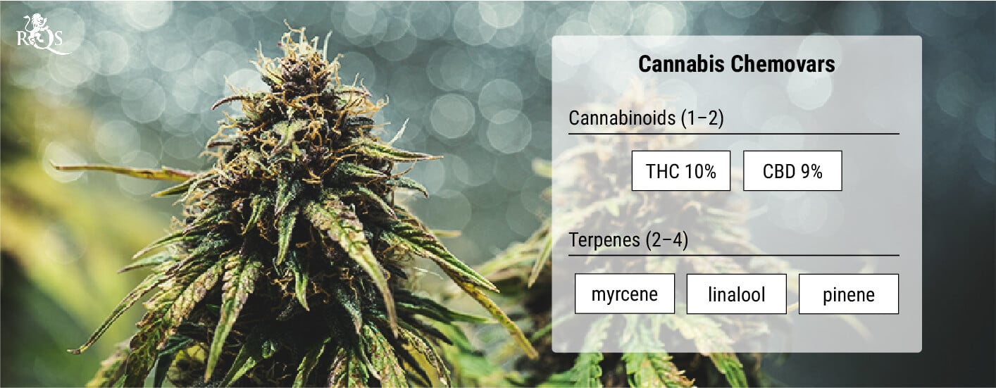 Cannabis Chemovars: A More Accurate Means of Classification Cannabis Chemovars: A More Accurate Means of Classification