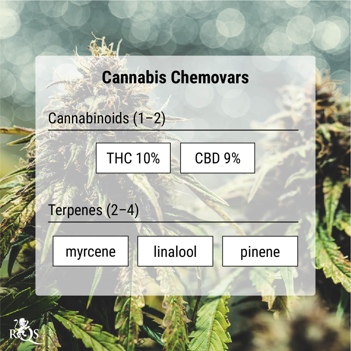 Cannabis Chemovars: A More Accurate Means of Classification Cannabis Chemovars: A More Accurate Means of Classification