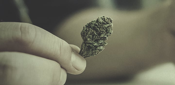 All of the Ways to Use Cannabis All of the Ways to Use Cannabis