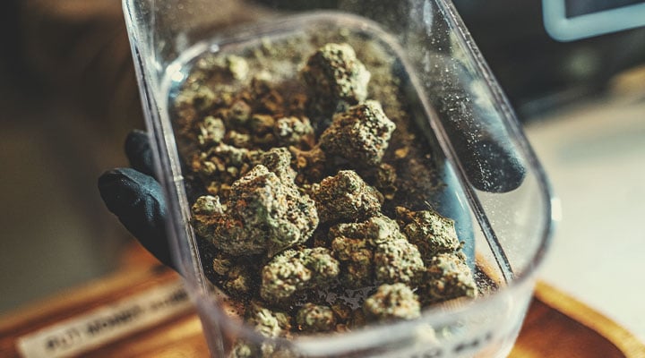How to Become a Budtender How to Become a Budtender