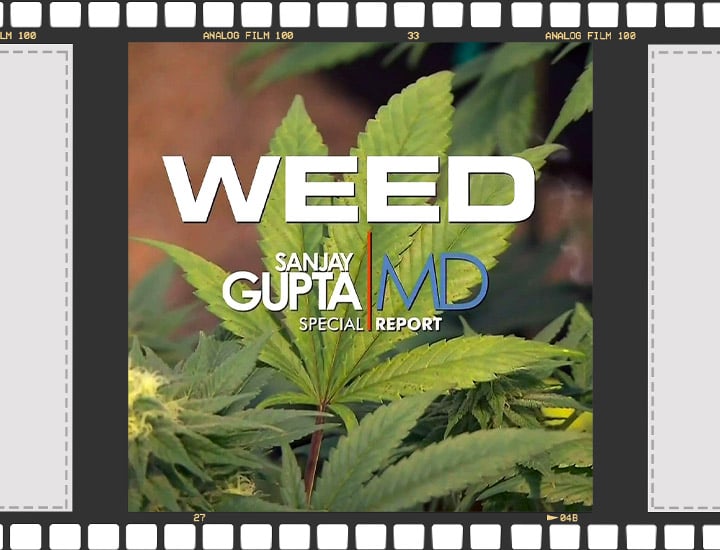 Cannabis documentary