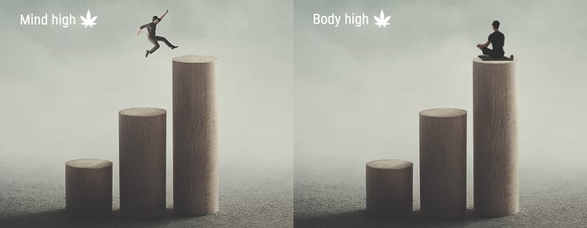 Mind High vs. Body High Mind High vs. Body High