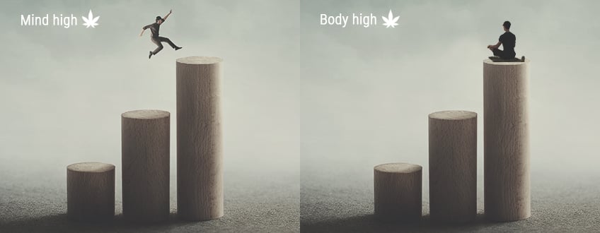 Mind High vs. Body High