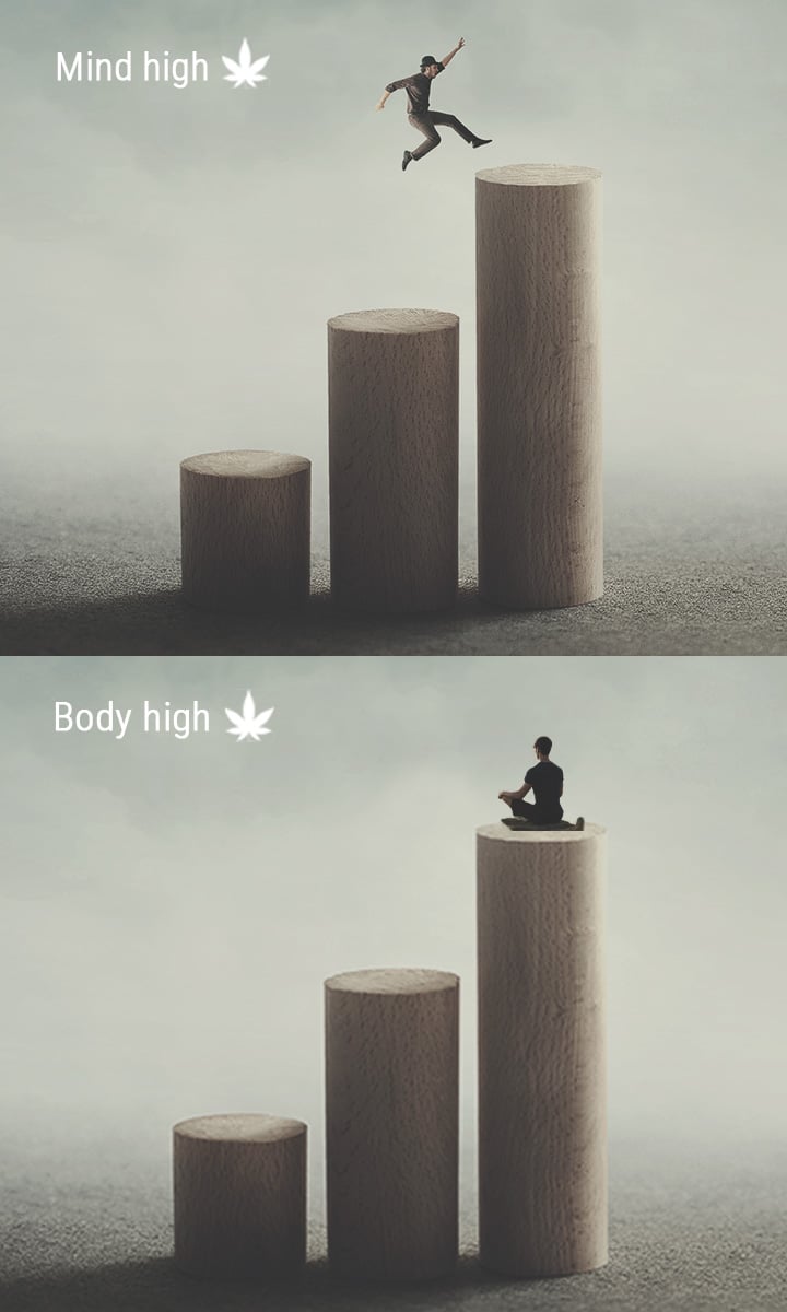 Mind High vs. Body High