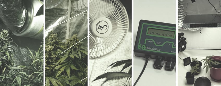 Growing Cannabis Indoors Growing Cannabis Indoors