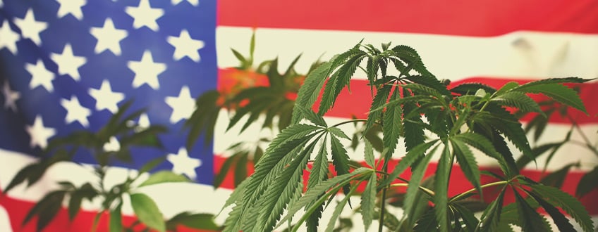 Why Does the Cannabis World Look to the United States?