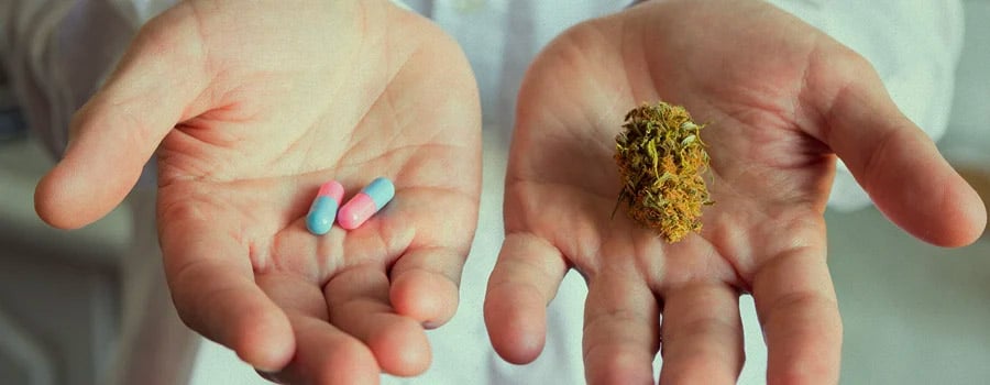 medical cannabis Tasmania Australia legalisation