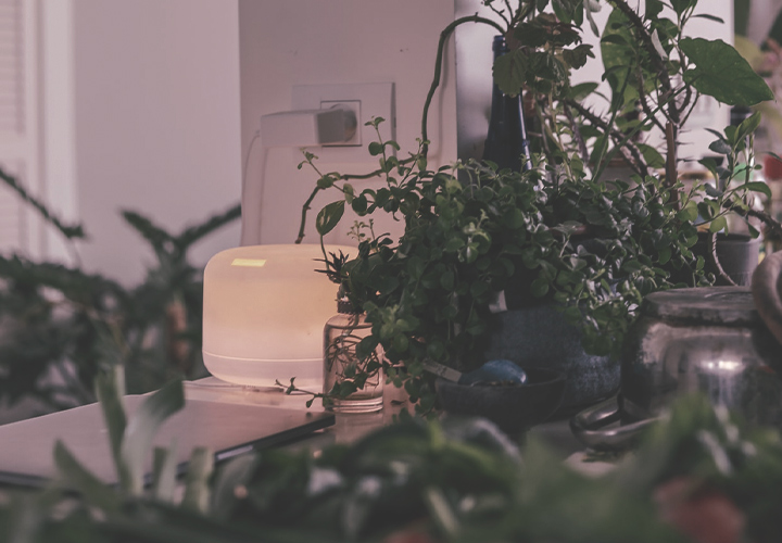 Air Purifiers Air Purifiers