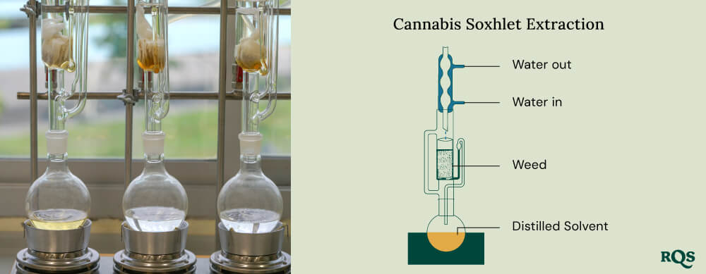 Cannabis soxhlet extraction