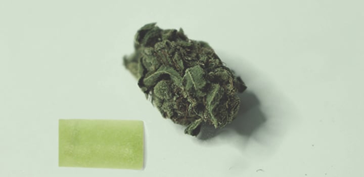 All of the Ways to Use Cannabis All of the Ways to Use Cannabis