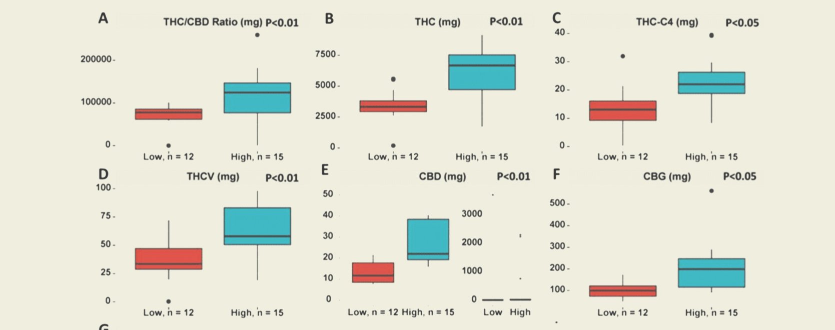 What Is Considered High-THC Cannabis?