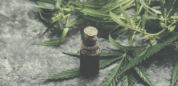 All of the Ways to Use Cannabis All of the Ways to Use Cannabis