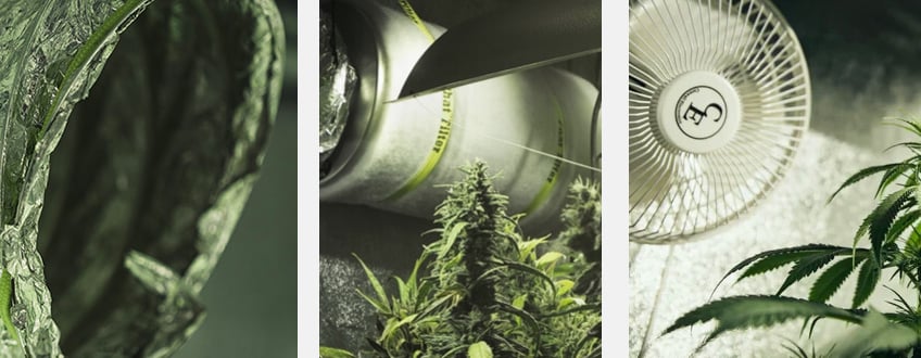Complete Ventilation Guide for Your Cannabis Grow Room Complete Ventilation Guide for Your Cannabis Grow Room