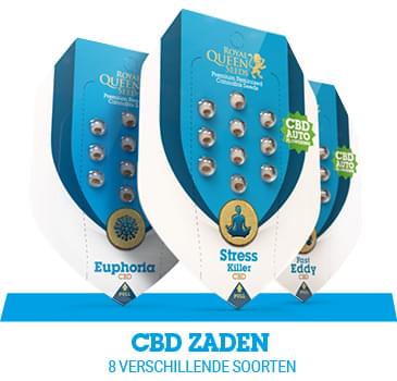 cbd-cannabis-zaden