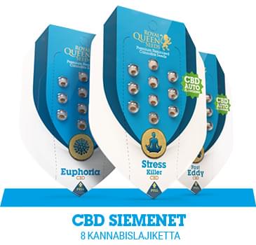 cbd-kannabiksen-siemenet