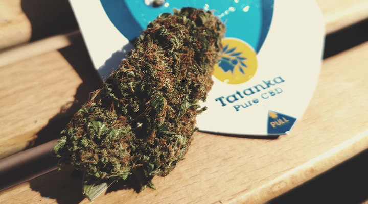 What Type of CBD Products Are Available? What Type of CBD Products Are Available?