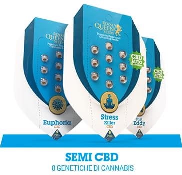 cbd-semi-cannabis