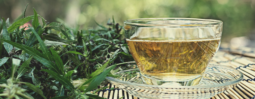 Making and Consuming CBD Tea: What You Need to Know