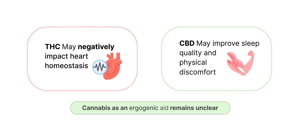 Infographic showing potential effects of THC and CBD on athletic performance, heart homeostasis, sleep quality, and recovery