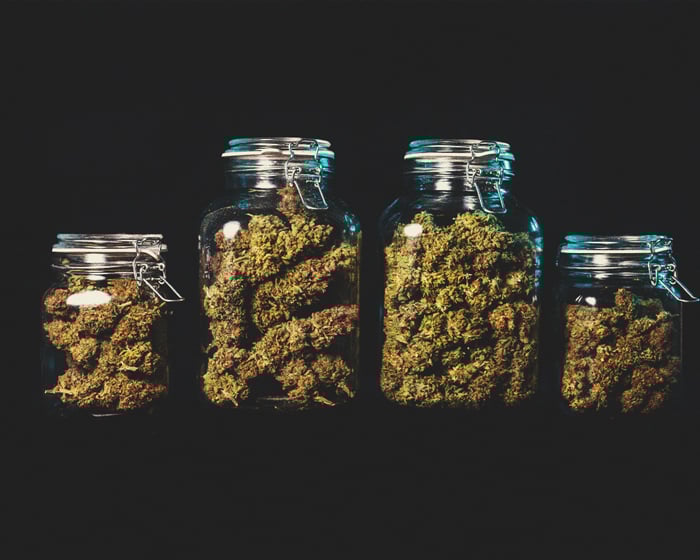 Could Cannabis Actually Help You Study Better? Could Cannabis Actually Help You Study Better?