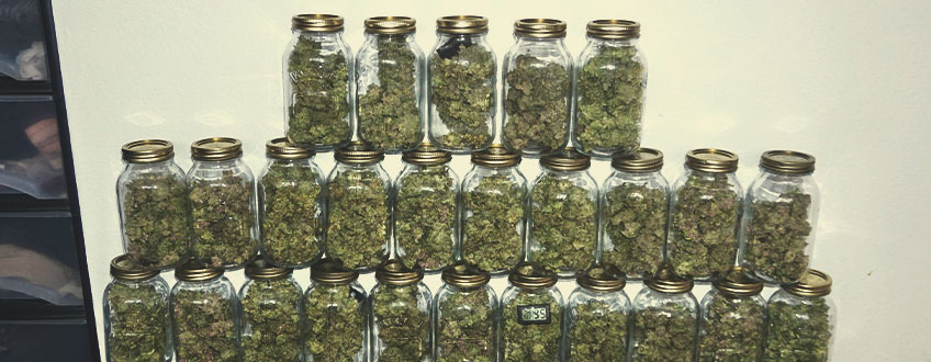 Curing Curing