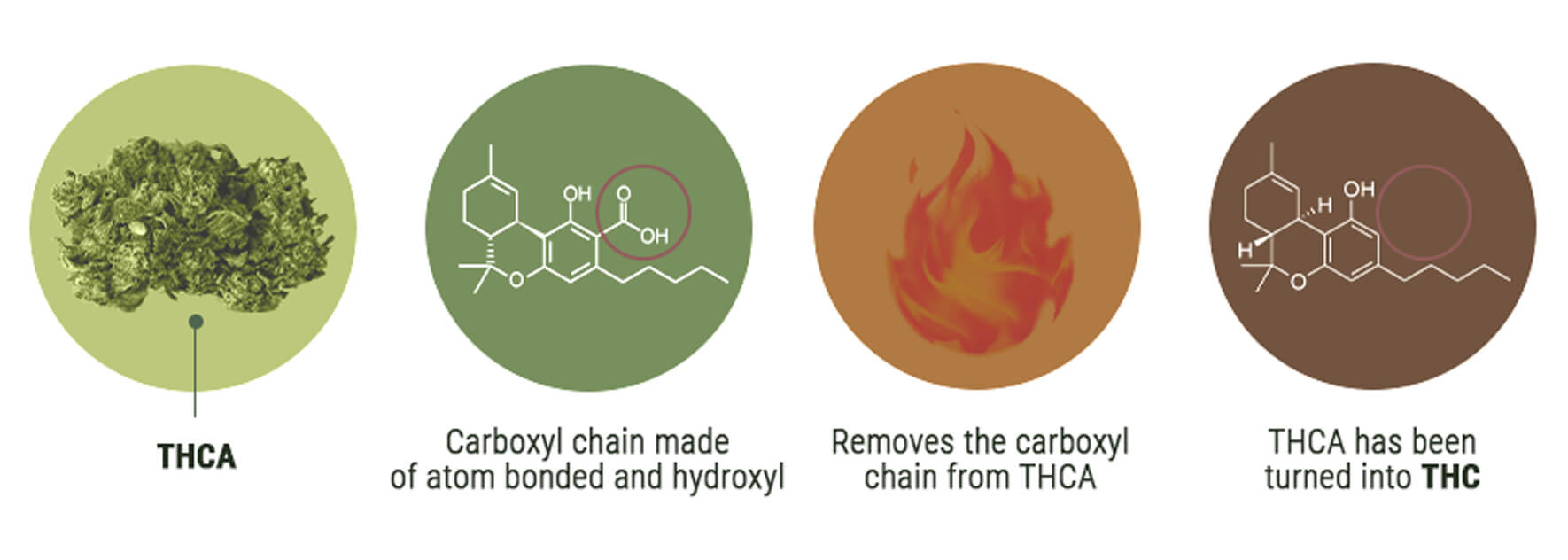 Cannabinoid Acids Cannabinoid Acids