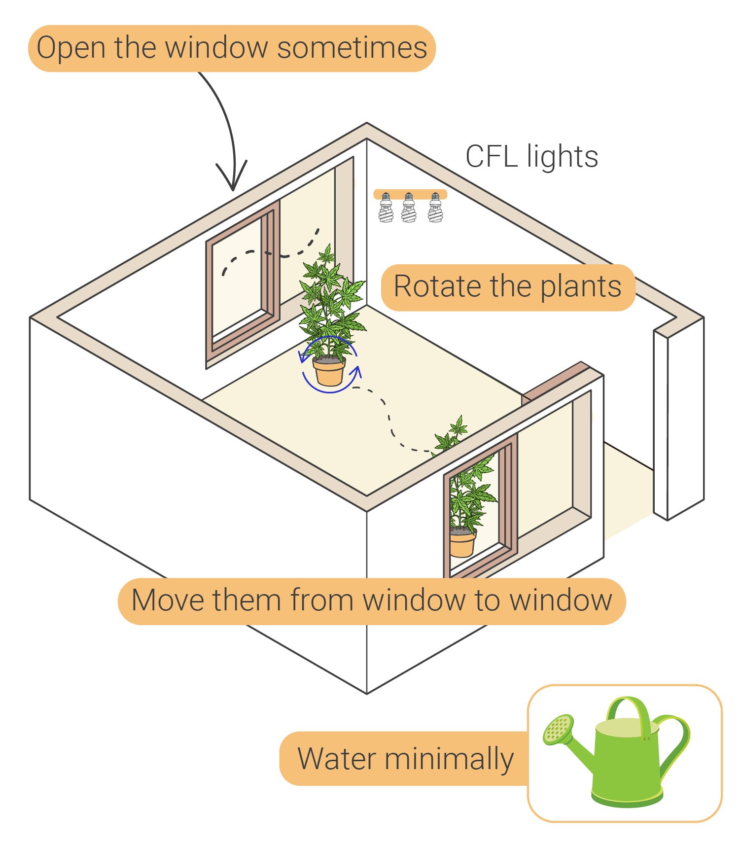 How to Grow Weed Indoors Without Lights