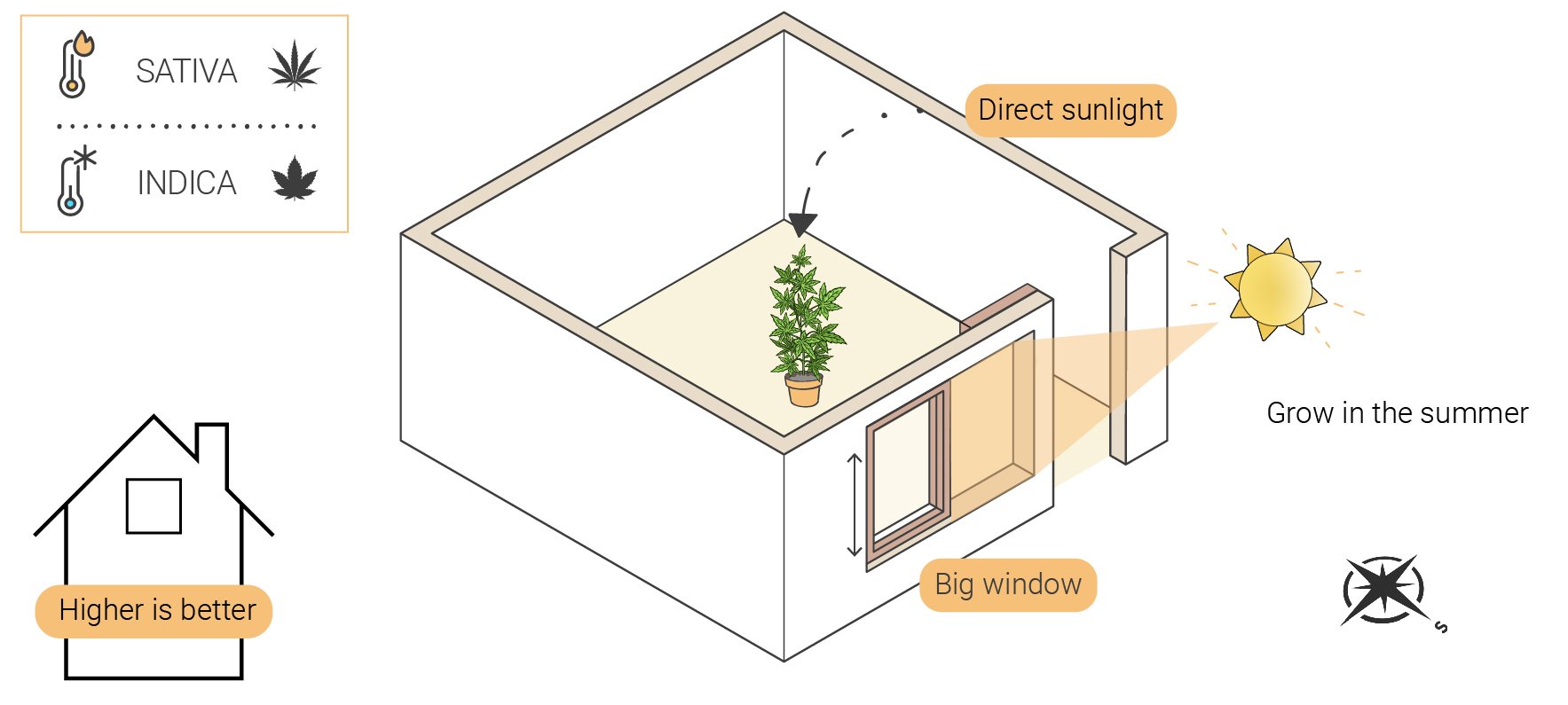 How to Grow Weed Indoors Without Lights