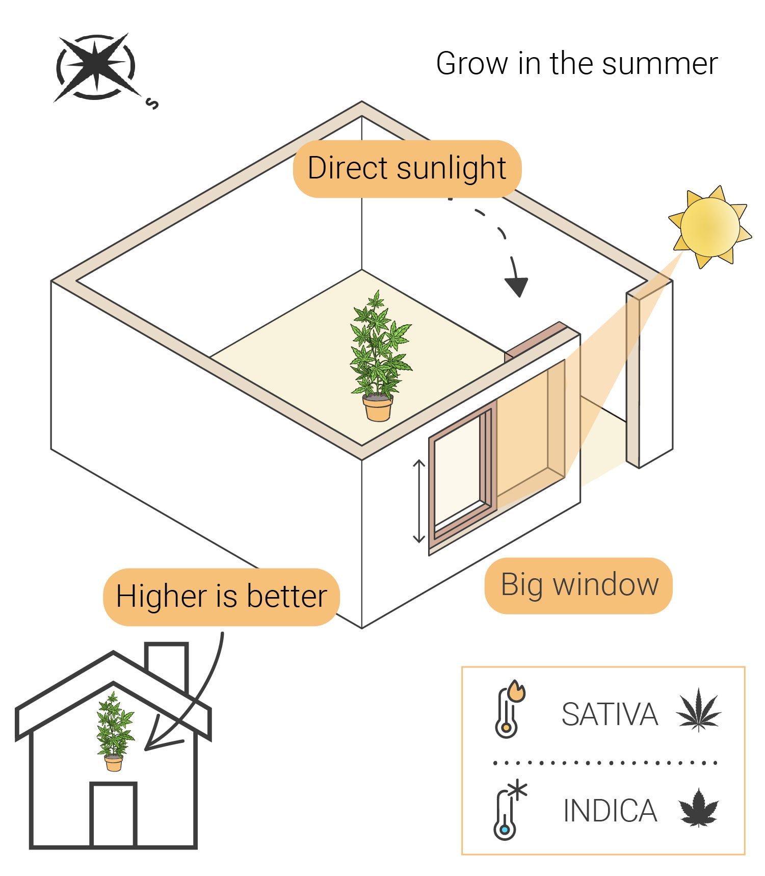 How to Grow Weed Indoors Without Lights