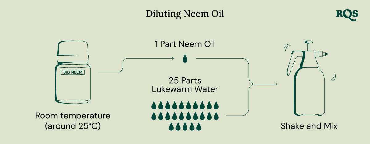 Diluting neem oil