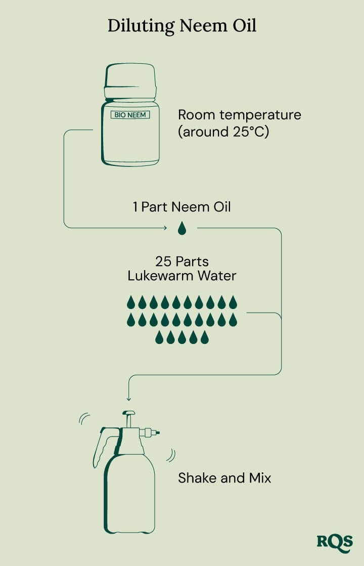 Diluting neem oil