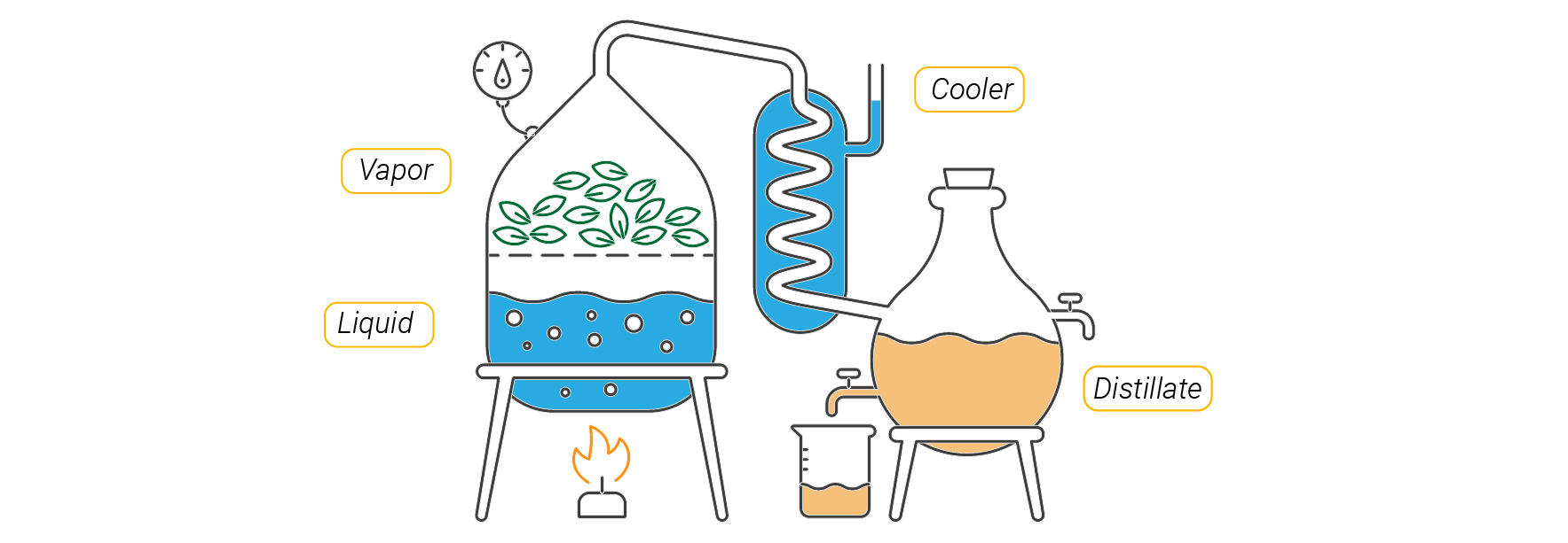 Cannabis Distillate: What Is It And Why Is It Important? Cannabis Distillate: What Is It And Why Is It Important?