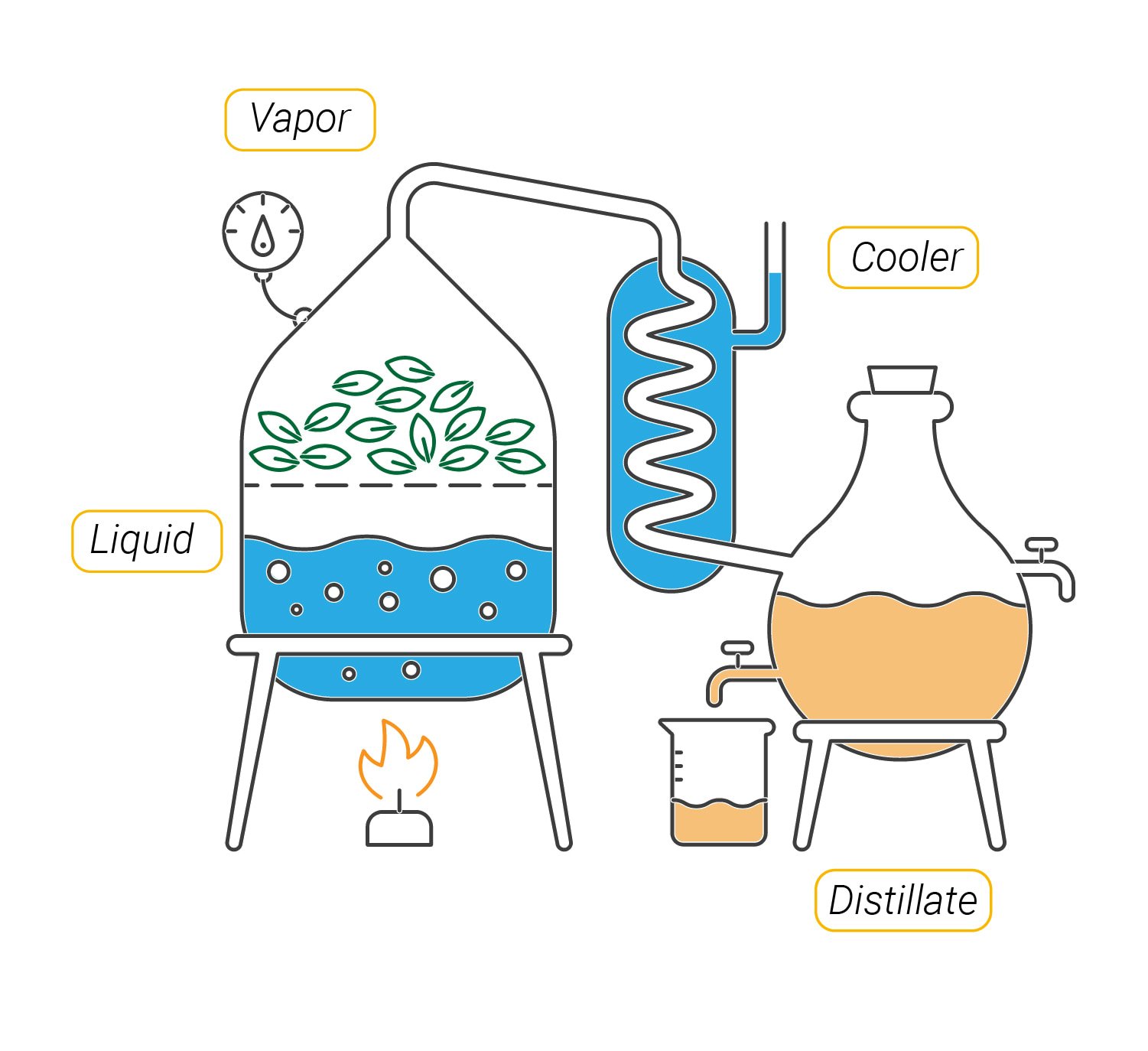 Cannabis Distillate: What Is It And Why Is It Important? Cannabis Distillate: What Is It And Why Is It Important?