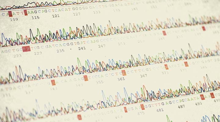 Cannabis Sequencing: A Boon for Breeders