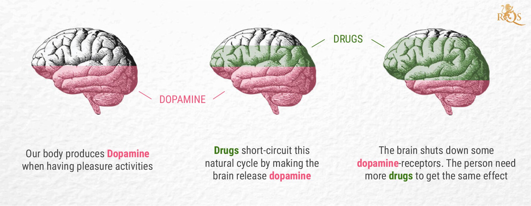 What Is Dopamine?