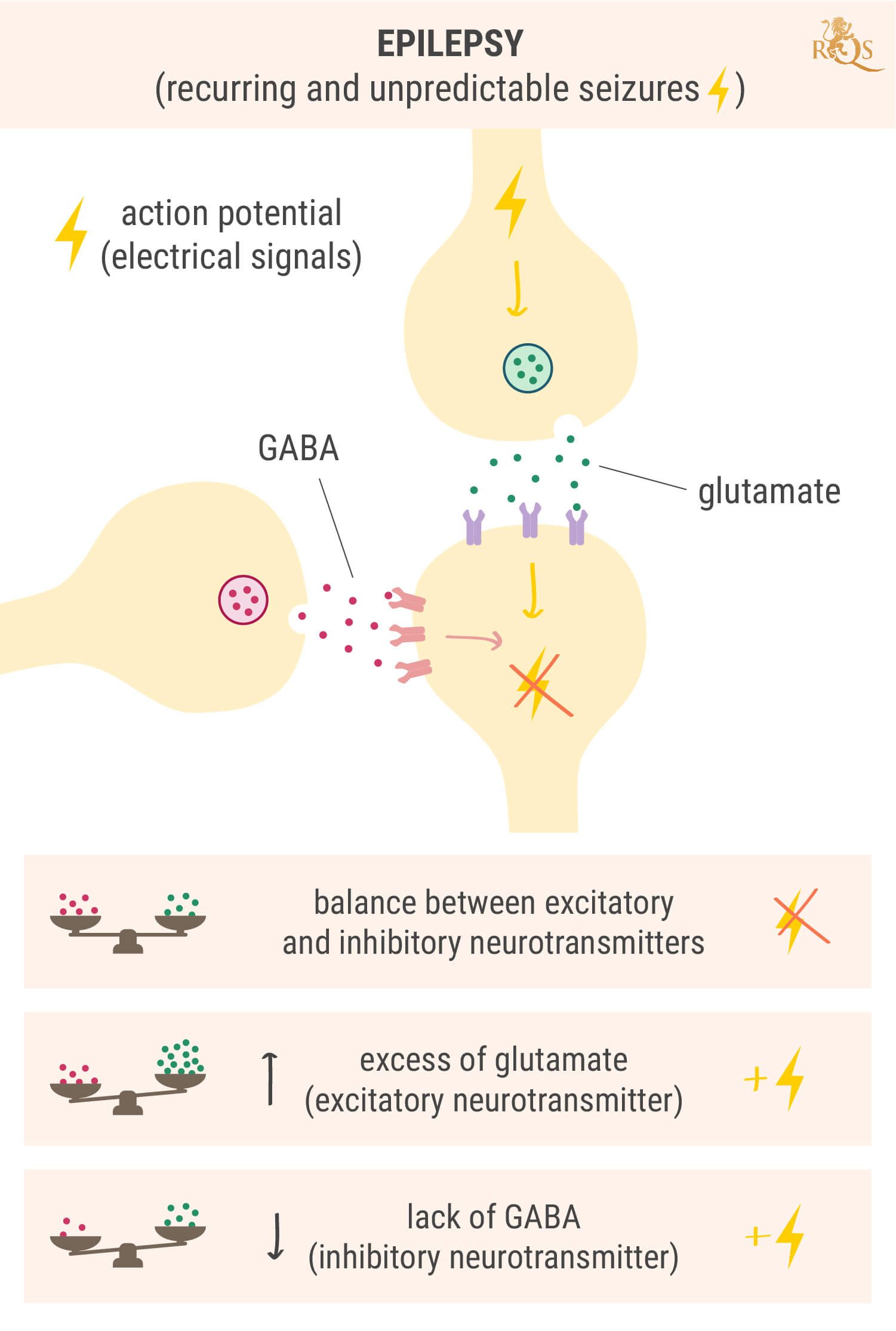 Why Does Epilepsy Occur?