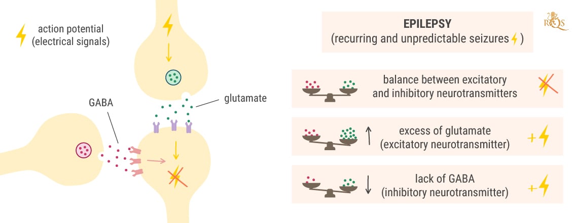 The Science Behind Seizures The Science Behind Seizures
