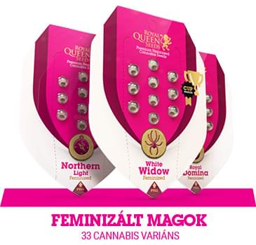 feminizált-marijuana-magok