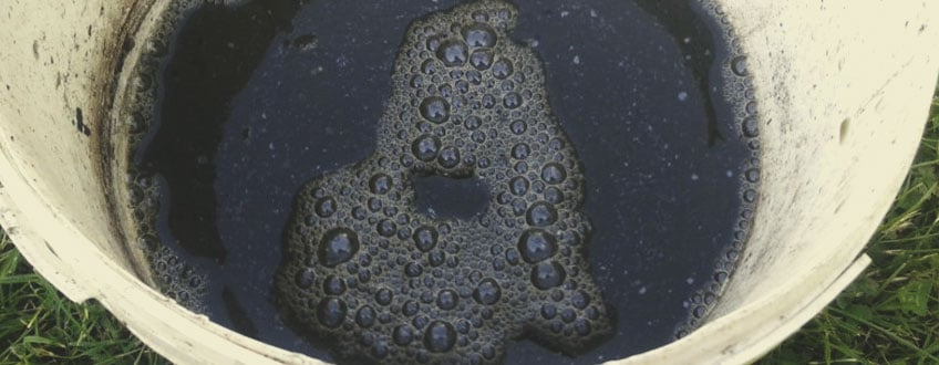 Fermented plant juice (fpj) Fermented plant juice (fpj)