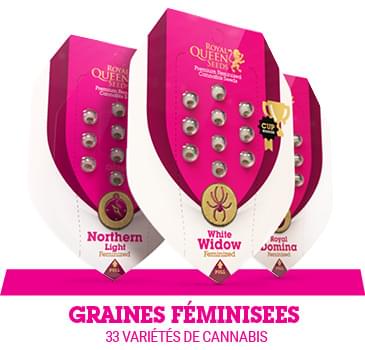 graines-cannabis-fëminisees