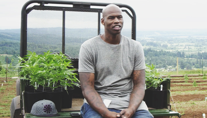 Al Harrington Al Harrington