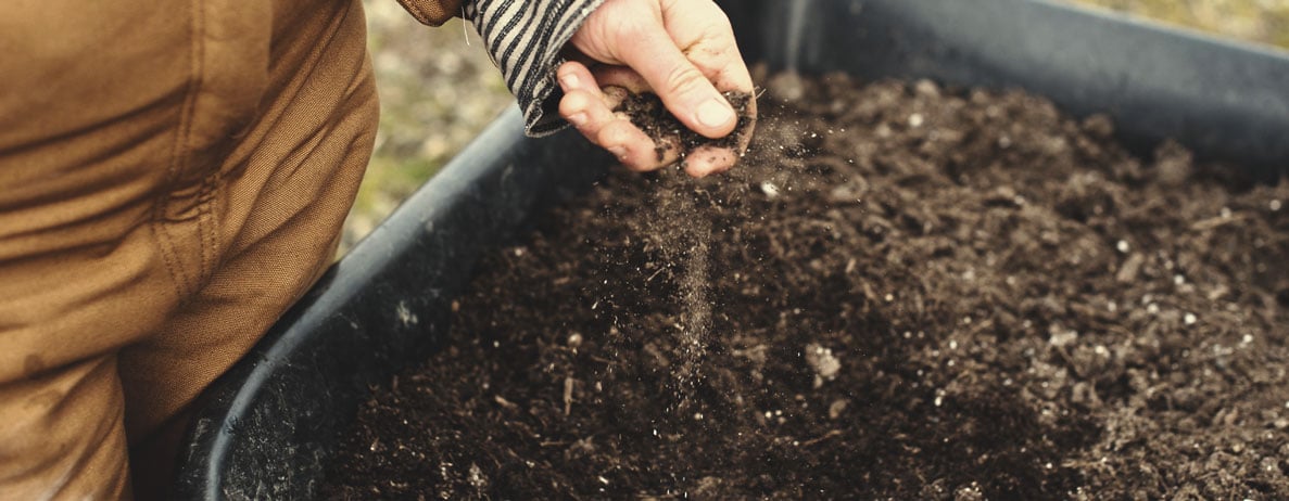 KNF and No-Till Farming KNF and No-Till Farming