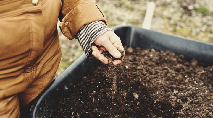 KNF and No-Till Farming KNF and No-Till Farming