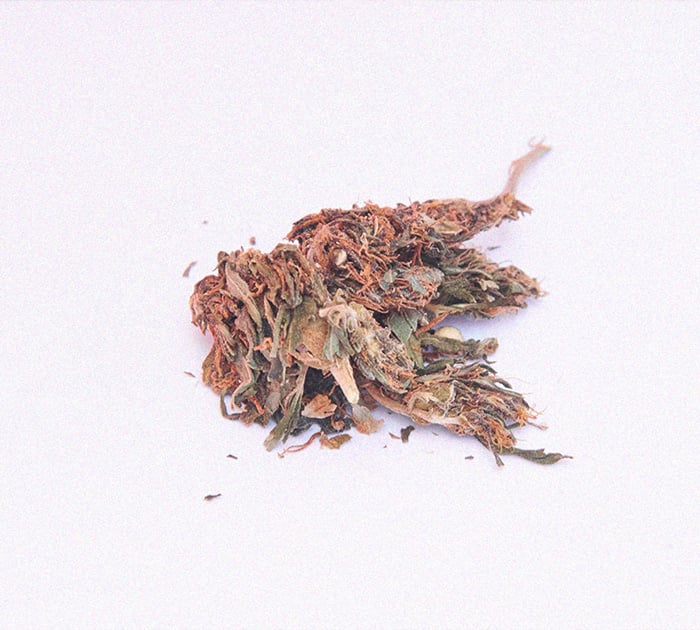 What Is Reggie Weed and Should You Smoke It? What Is Reggie Weed and Should You Smoke It?